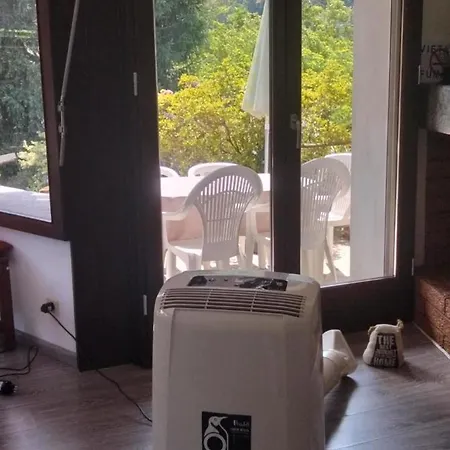 Giuliana קנוביו